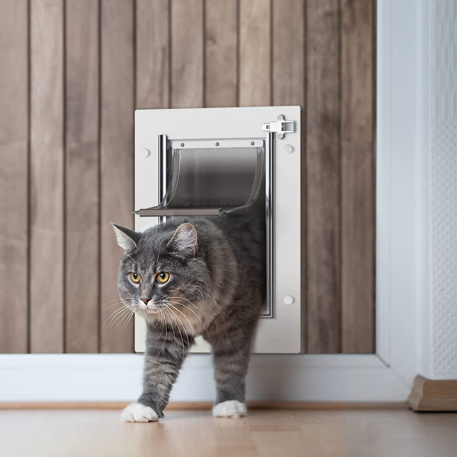 Pet Door for Wall, Steel Frame and Telescoping Tunnel, Aluminum Lock, Double Flap Dog Door and Cat Door, Strong and Durable (Pets up to 12 Lb) -Small