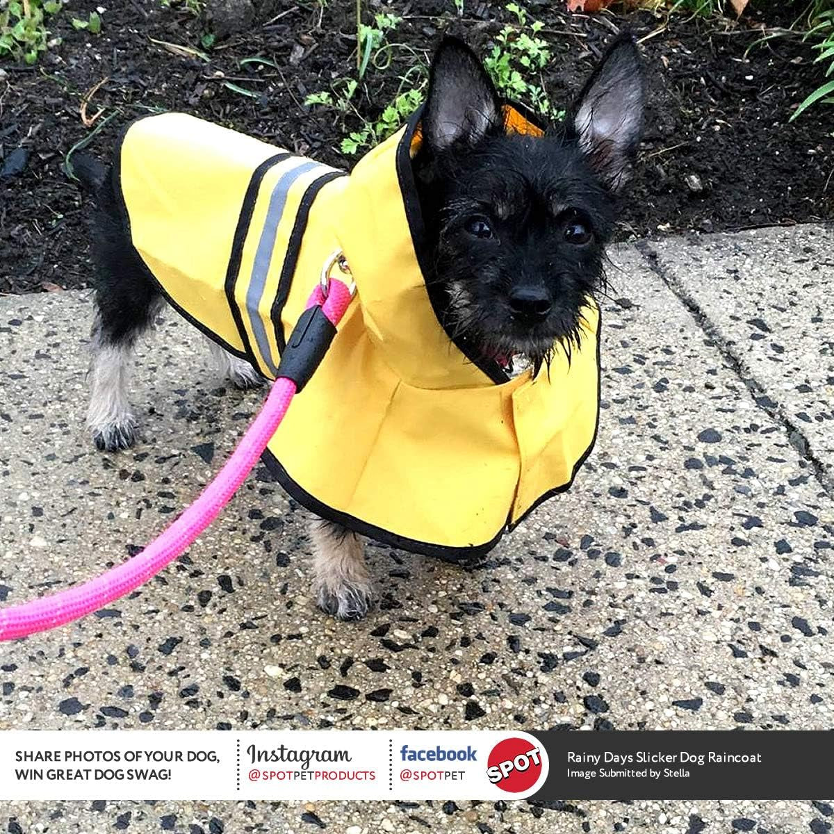 Dog Raincoat for Small Dogs | Dog Rain Jacket with Hood | Dog Rain Poncho | 100% Polyester | Water Proof | Yellow W/Grey Reflective Stripe | Perfect Rain Gear for Your Pet! by Ethical Pet