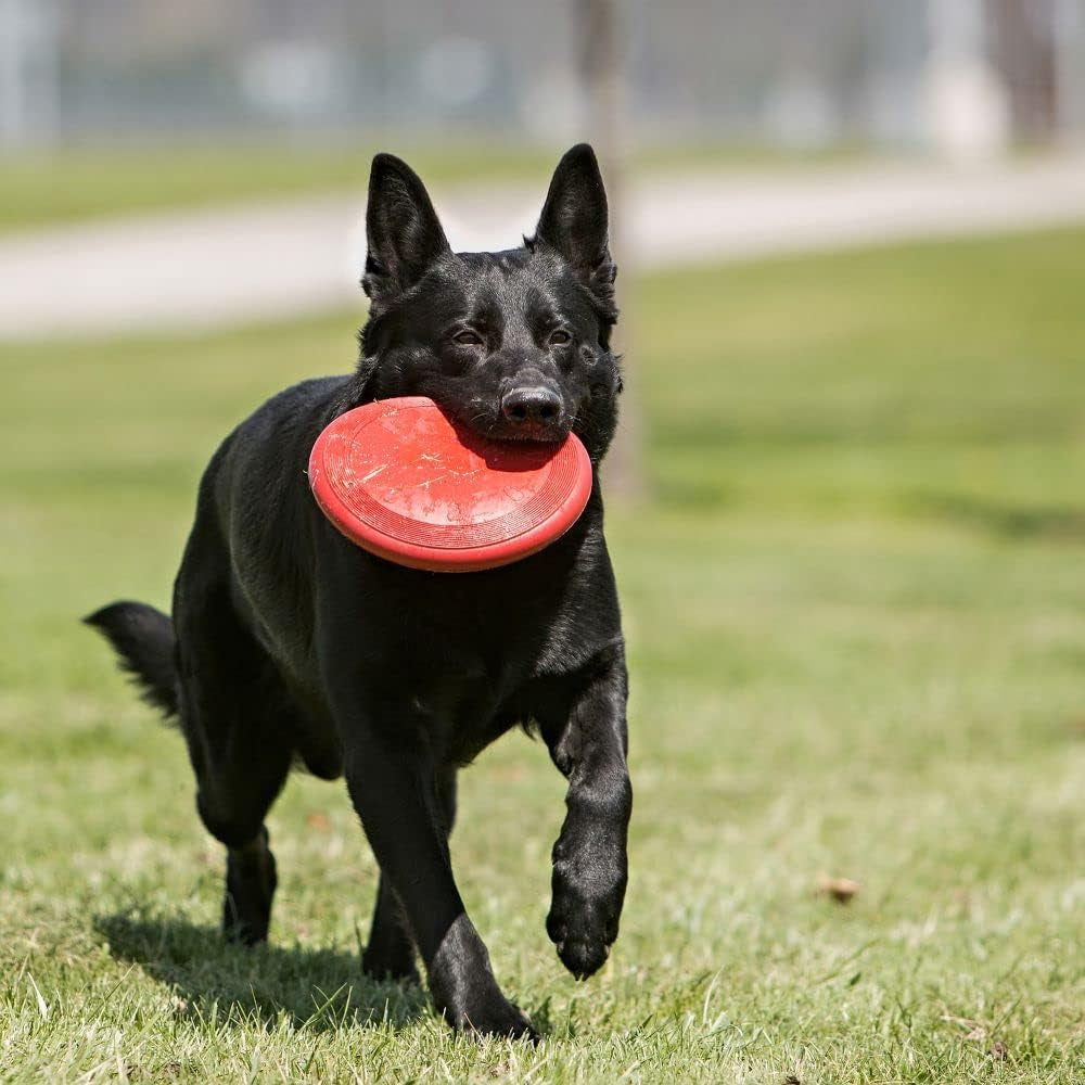 - Flyer - Durable Rubber Flying Disc Dog Toy - for Large Dogs