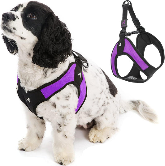 - Escape Free Easy Fit Harness, Small Dog Step-In Harness for Dogs That like to Escape Their Harness, Purple, Medium