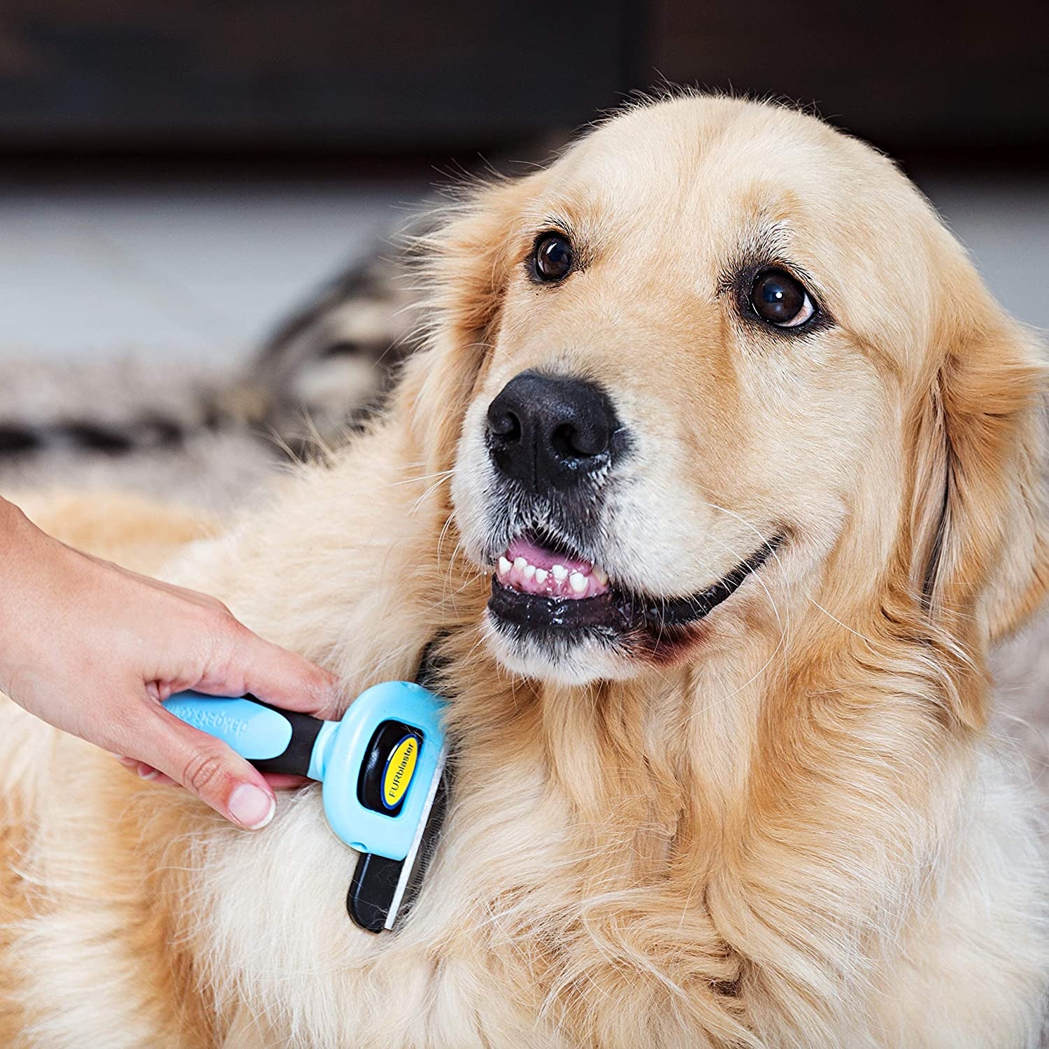 Deshedding Dog Brush | Cat & Dog Brush for Shedding | Effective Dog Grooming Tool & Pet Hair Remover | Cat Deshedding Brush | for Short & Long Haired Pet Grooming All Year Round