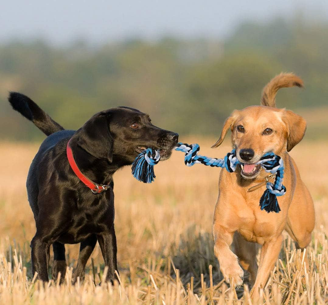 Dog Rope Toys for Aggressive Chewers, Heavy Duty Dog Toys for Medium Large Dogs, Tough Twisted Rope Toy with 5 Knots