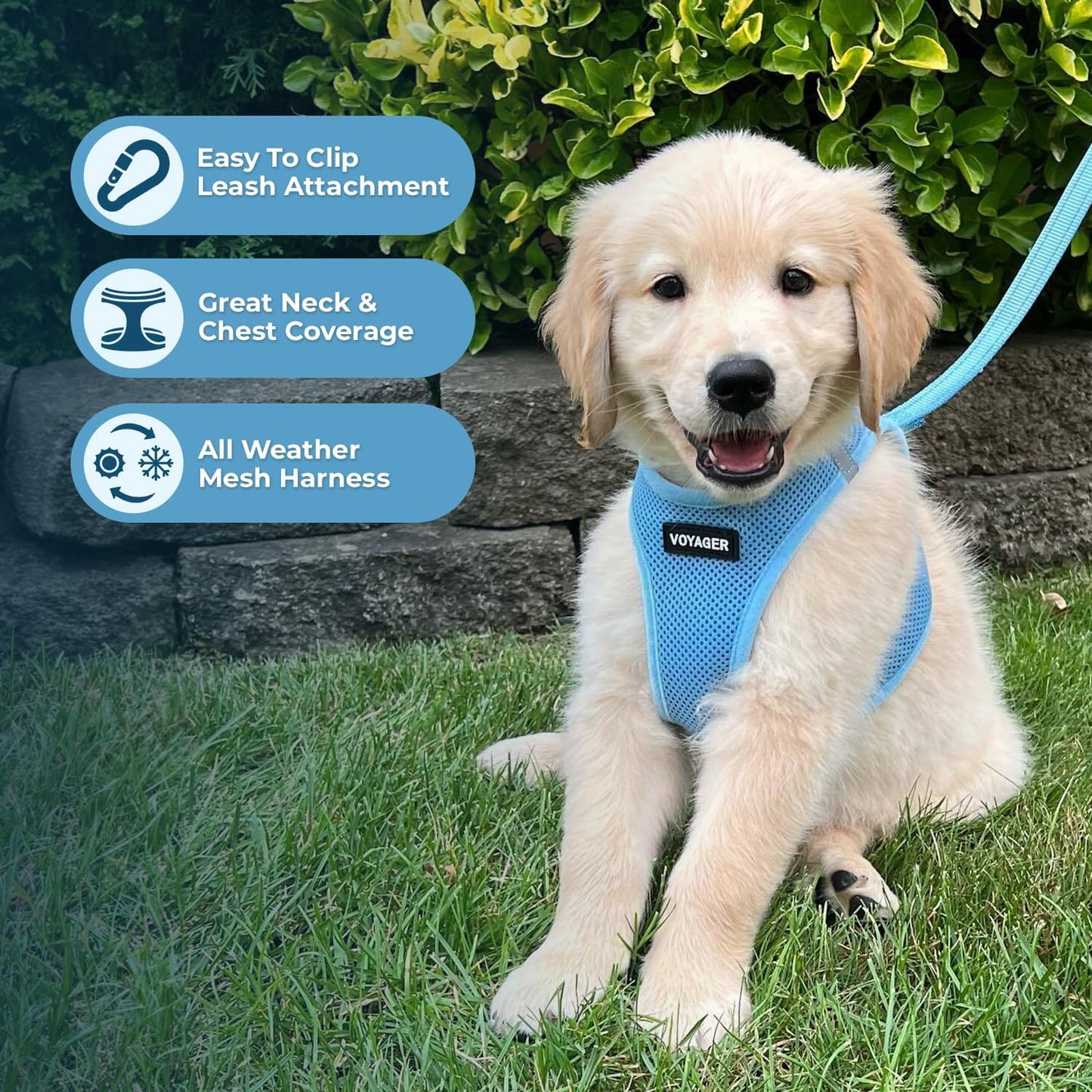 Voyager Step-In Air Dog Harness - All Weather Mesh, Step in Vest Harness for Small and Medium Dogs by  - Baby Blue (Matching Trim), S (Chest: 14.5 - 17") (207T-BBW-S)