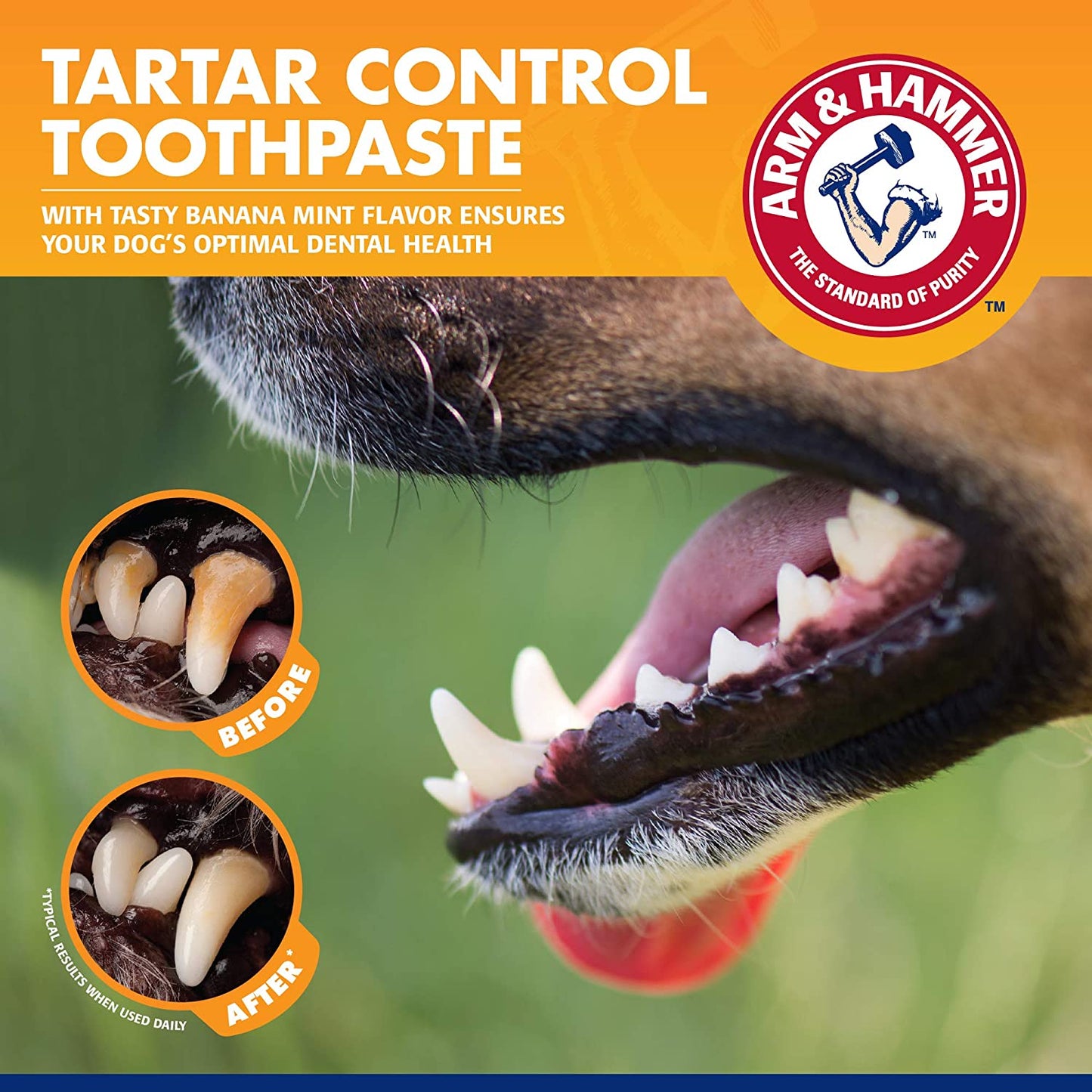 Dog Dental Care Tartar Control Kit for Dogs | Contains Toothpaste, Toothbrush & Fingerbrush | Reduces Plaque & Tartar Buildup, 3-Piece Kit, Banana Mint Flavor