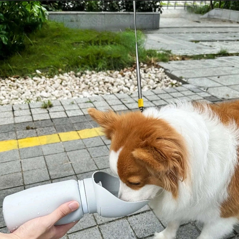 Folding Pet Water Dispenser