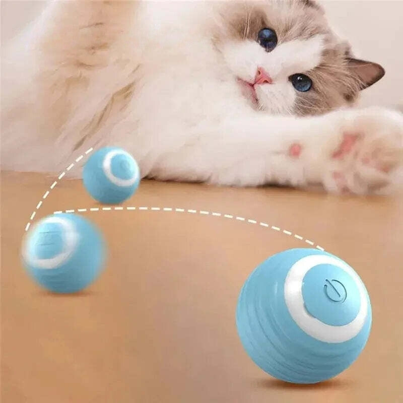 Magic Cat Ball Toy