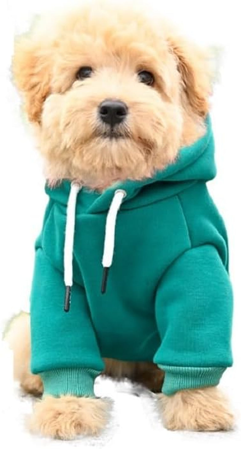 Dog Hoodie Dog Hoodies Clothes Apparel Fleece Dog Sweater Winter Sweatshirt Warm Cotton Loop Basic Dog Hoodie for Small Dog Puppy Cat (Green, M)