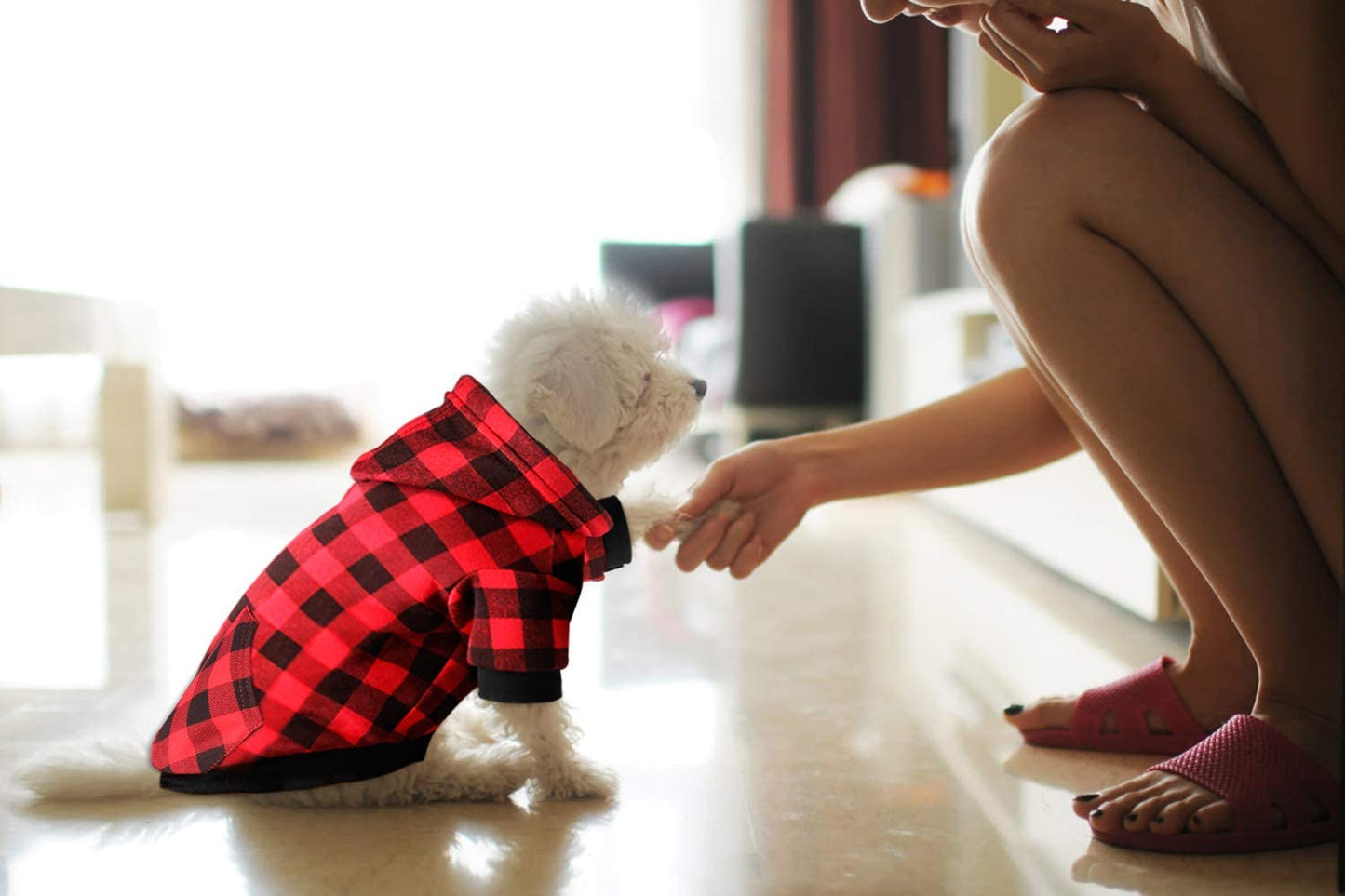 Red Plaid Dog Hoodie Sweater for Dogs Pet Clothes with Hat and Pocket（S）