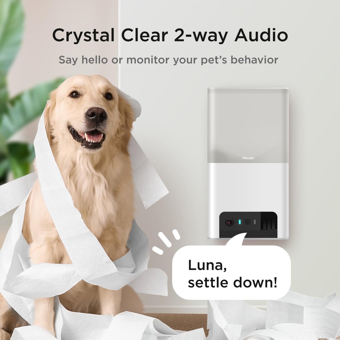 Bites 2 Lite All-In-One Pet Camera Treater, White