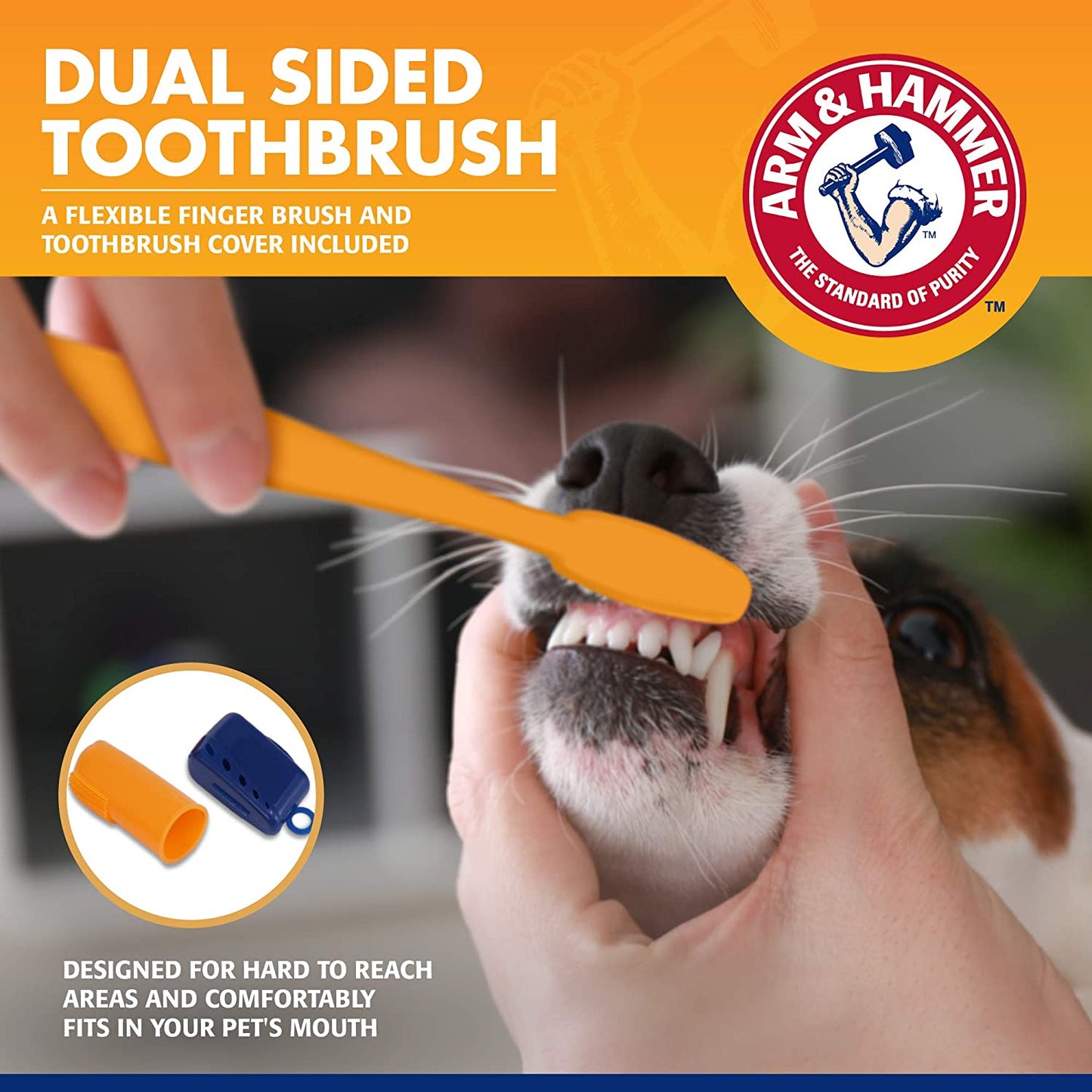 Dog Dental Care Tartar Control Kit for Dogs | Contains Toothpaste, Toothbrush & Fingerbrush | Reduces Plaque & Tartar Buildup, 3-Piece Kit, Banana Mint Flavor