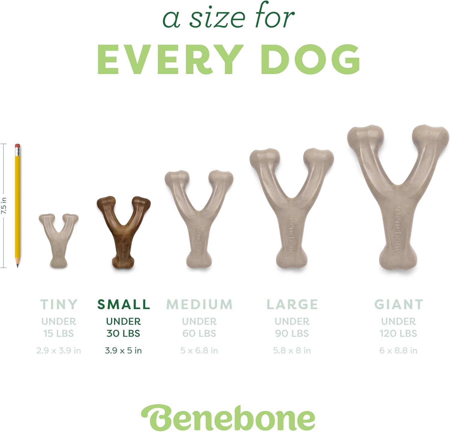 Wishbone Durable Dog Chew Toy for Aggressive Chewers, Real Peanut, Made in USA, Small, for Any Breed