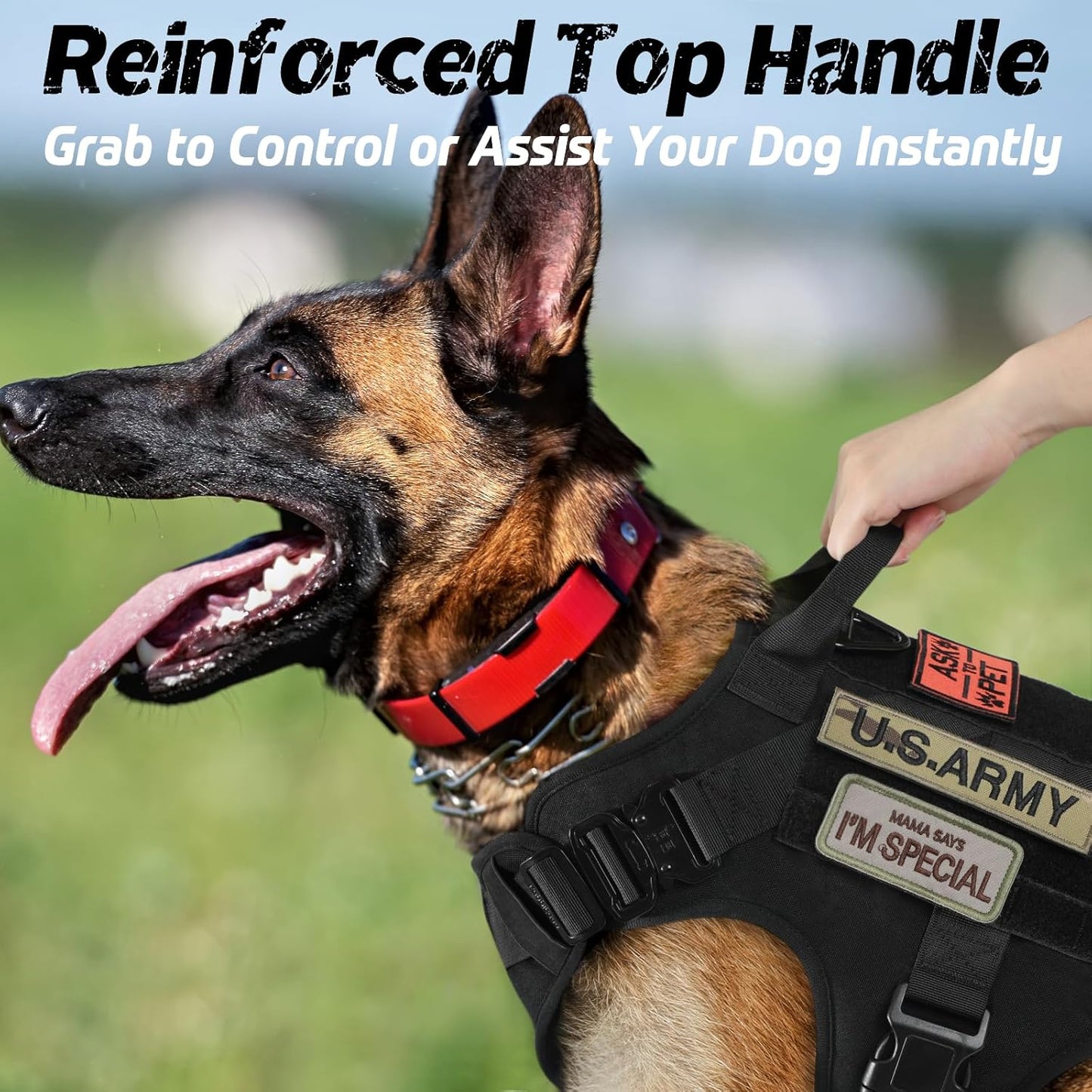 Tactical Dog Harness for Large Dogs, Military Dog Harness with Handle, No-Pull Service Dog Vest with Molle & Loop Panels, Adjustable Dog Vest Harness for Training Hunting Walking, Black, M