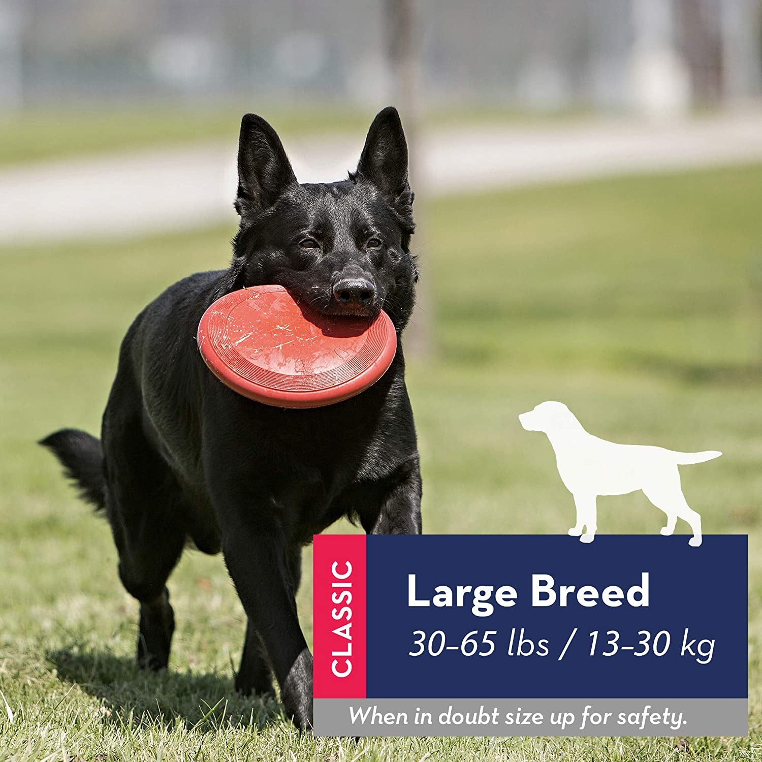 - Flyer - Durable Rubber Flying Disc Dog Toy - for Large Dogs