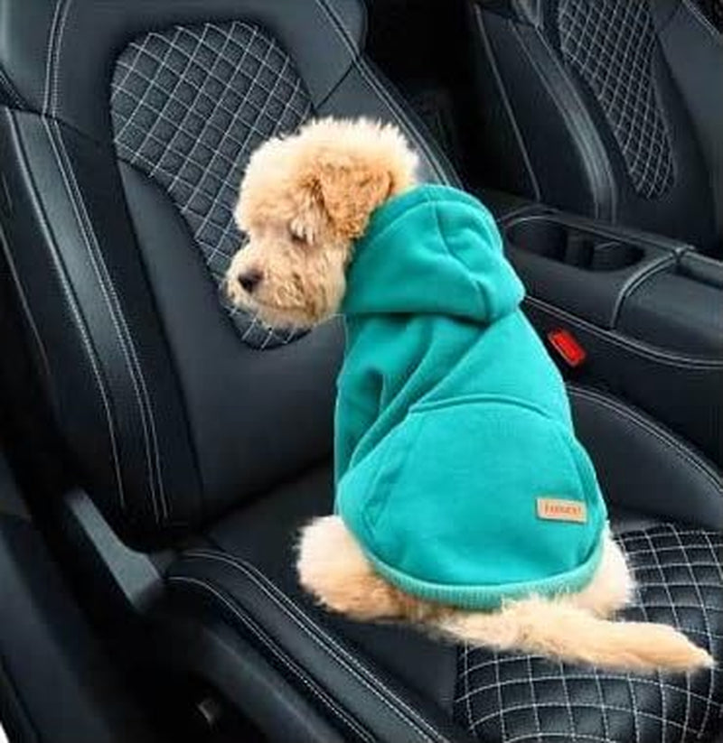 Dog Hoodie Dog Hoodies Clothes Apparel Fleece Dog Sweater Winter Sweatshirt Warm Cotton Loop Basic Dog Hoodie for Small Dog Puppy Cat (Green, M)