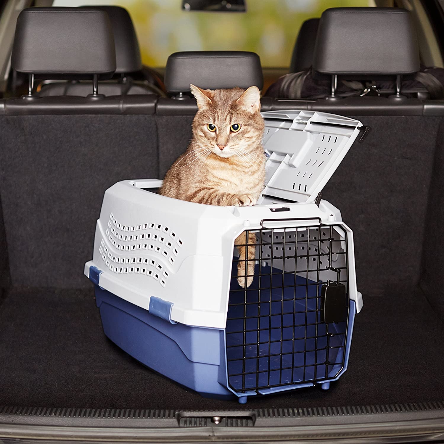 2-Door Top Load Hard-Sided Dog and Cat Kennel Travel Carrier, 58 Centimeters