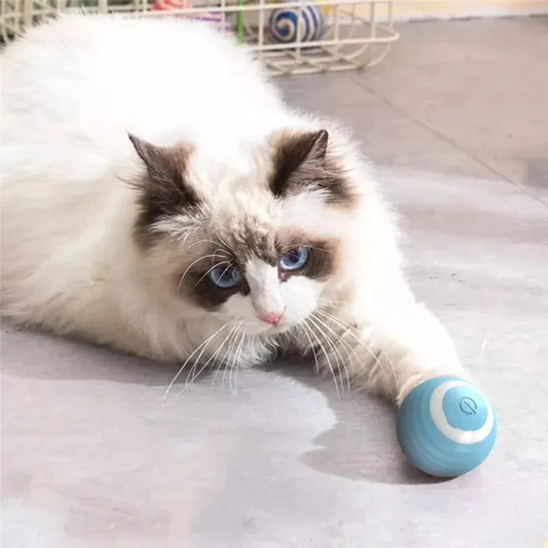 Magic Cat Ball Toy