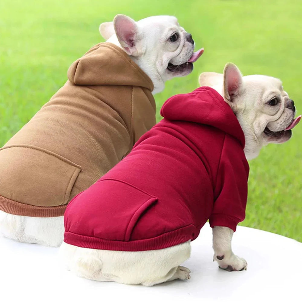 Cozy Dog Hooded Sweatshirt